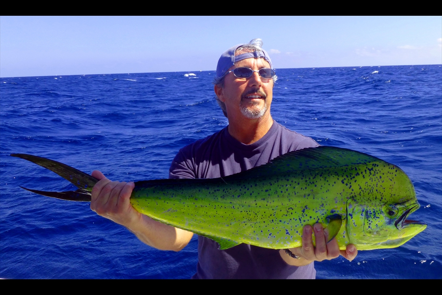 Summer Mahi