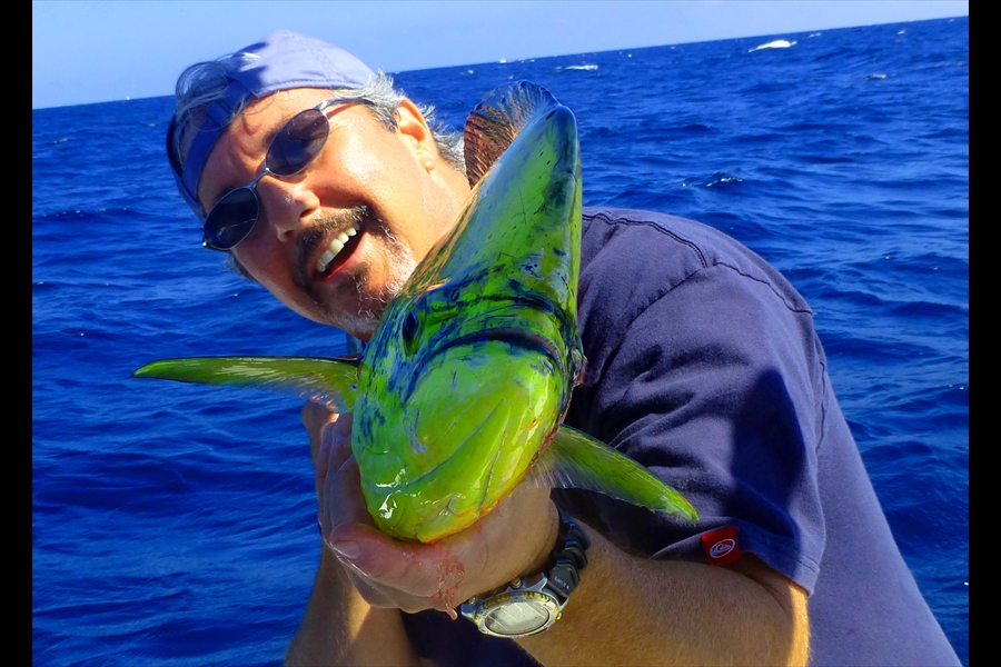 Summer Mahi